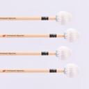 VSPES-LP-Set4.jpg